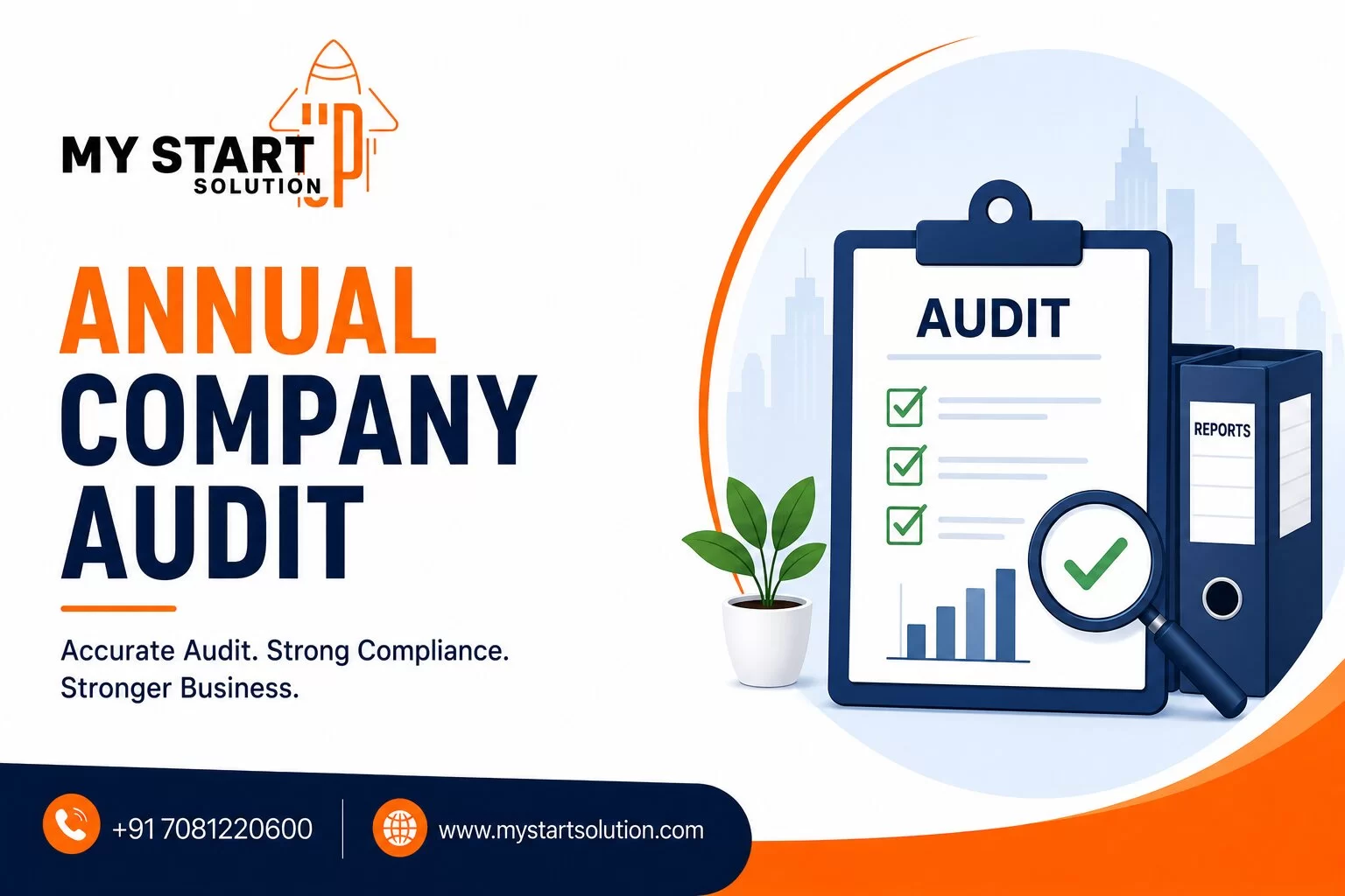 Annual Company Audit