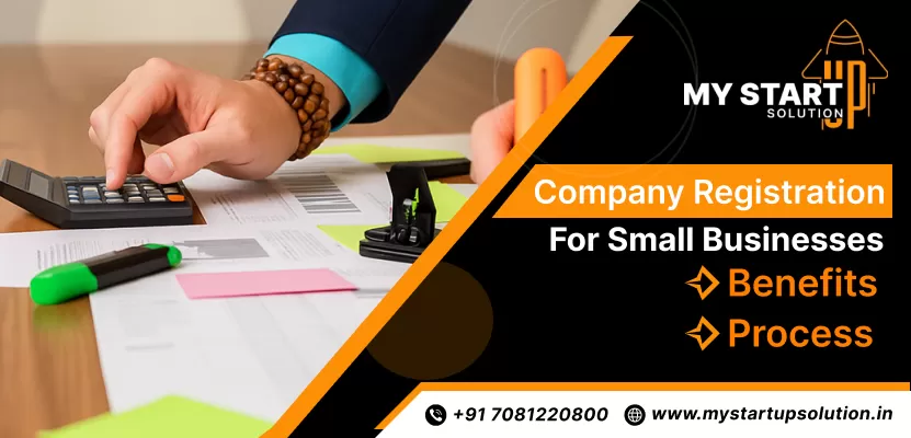 Company Registration for Small Businesses Benefits and Process