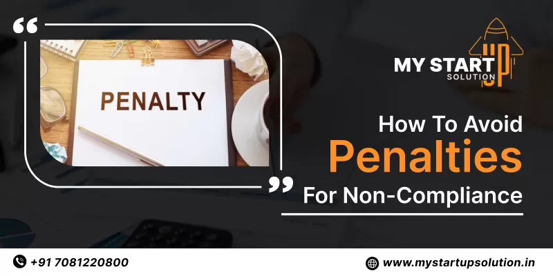 How to Avoid Penalties for Non-Compliance: My Startup Solution