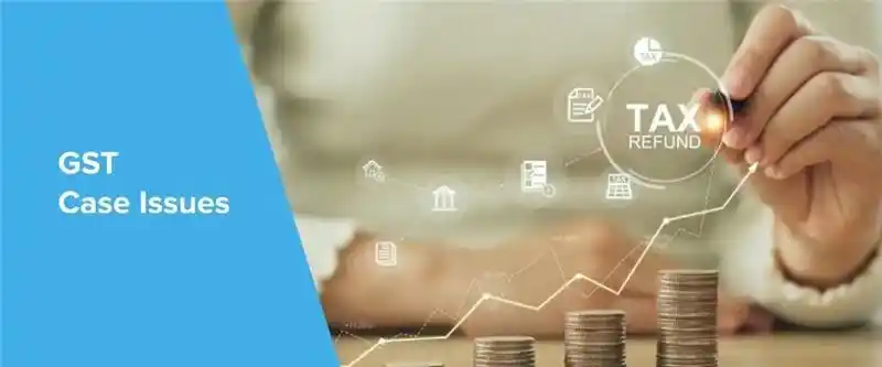 GST Case Issue Service 