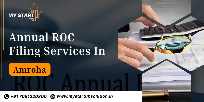 Annual ROC Filing Services Amroha | My Startup Solution
