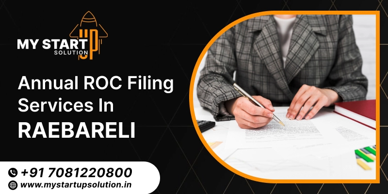 Annual ROC Filing Services in Raebareli