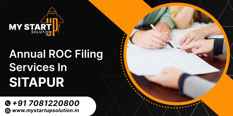 Annual ROC Filing Services in Sitapur