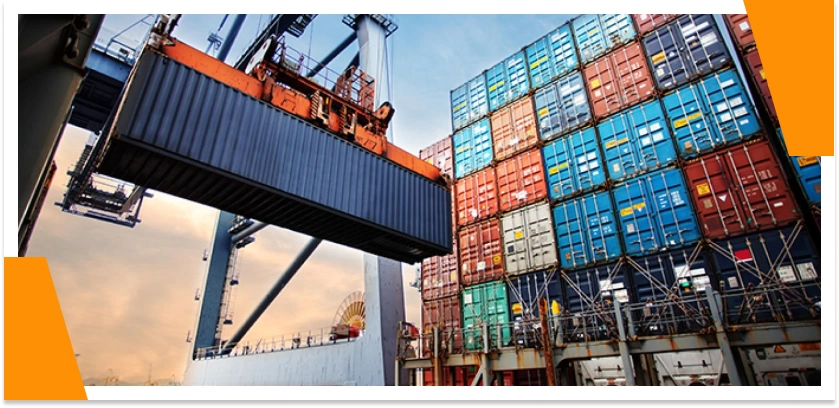 FSSAI License For Importers and exporters in India