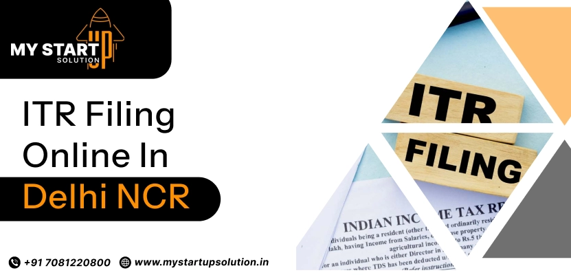 Best ITR Filing Online in Delhi NCR