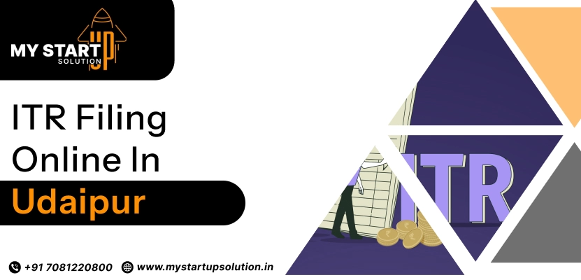 ITR Filing Online in Udaipur - My Startup Solution