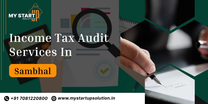 Income tax Audit services in Sambhal