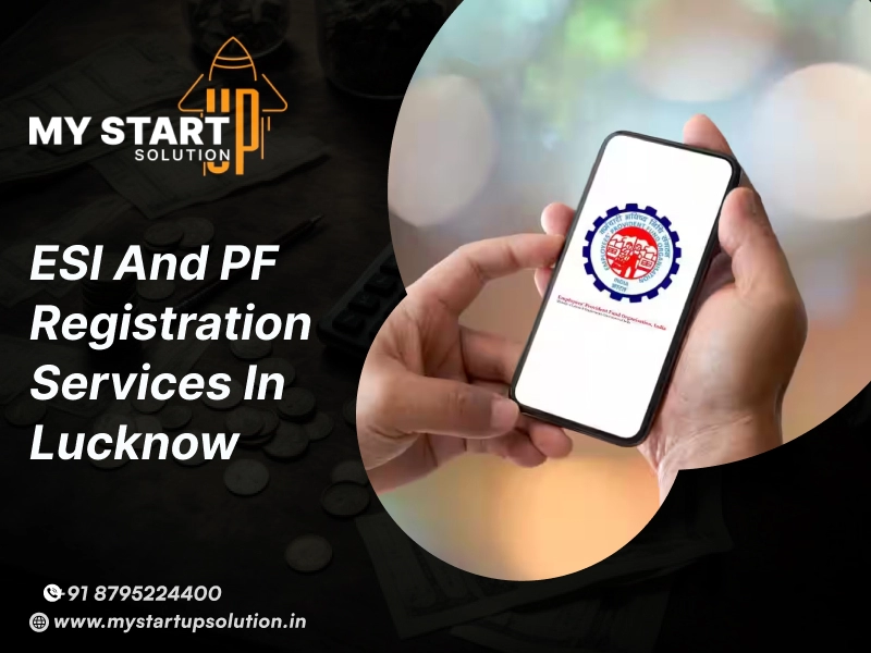 ESI and PF Registration Services in Lucknow