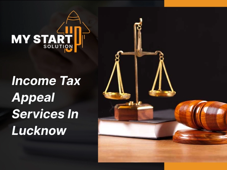 Income Tax Appeal Services in Lucknow