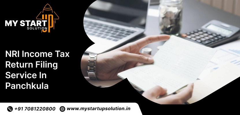 NRI Income Tax Return Filing Service in Panchkula