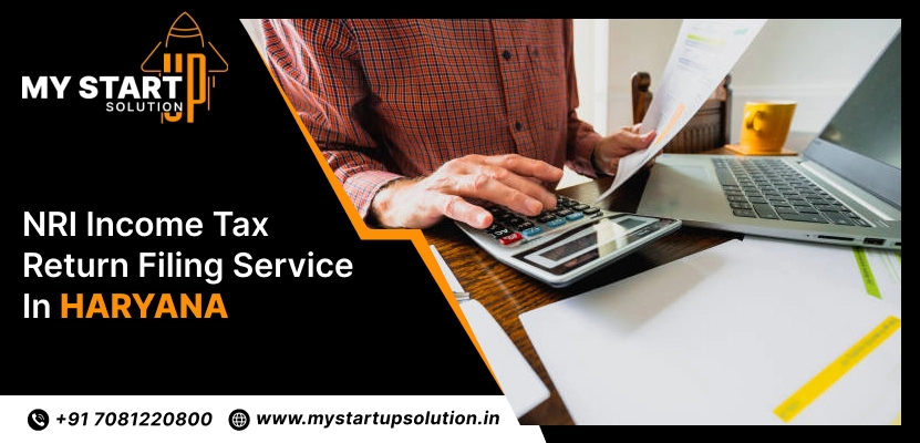 NRI Income Tax Return Filing Service in Haryana