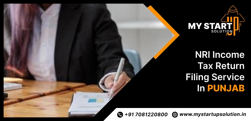 NRI Income Tax Return Filing Service in Punjab