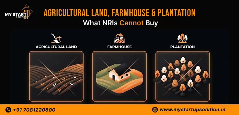 NRIs & Agricultural Property in India: What You Cannot Buy (Land, Farmhouse & Plantation)