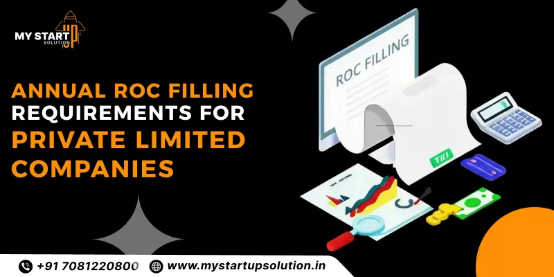 Annual ROC Filing Requirements for Private Limited Companies - My Startup Solution